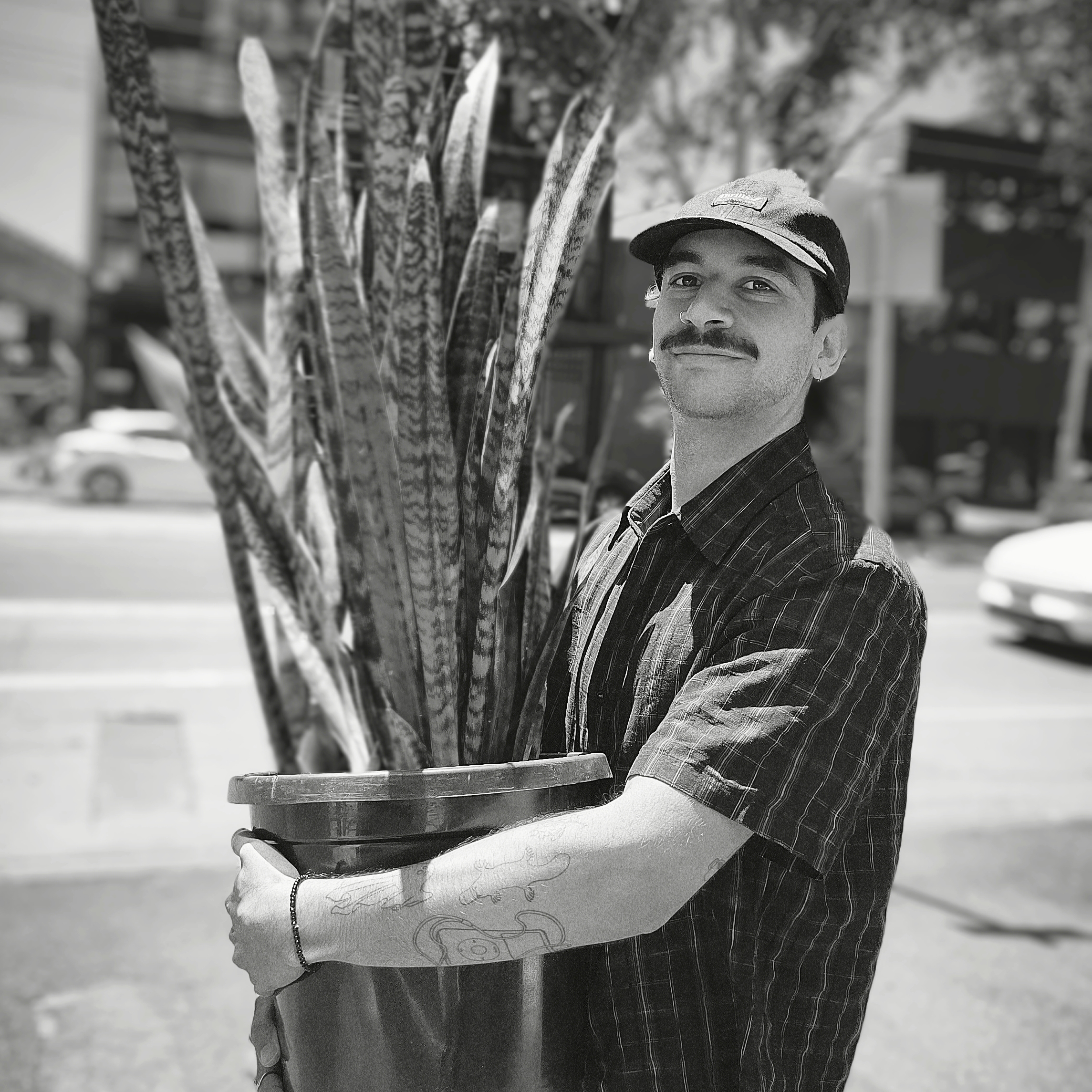 Founder portrait, Melbourne